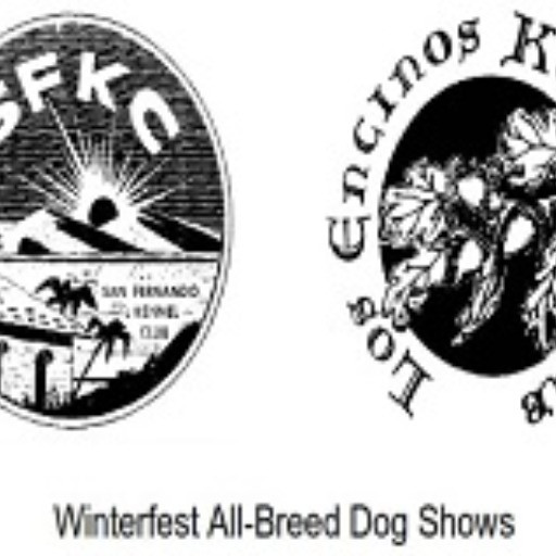 Winterfest Dog Show