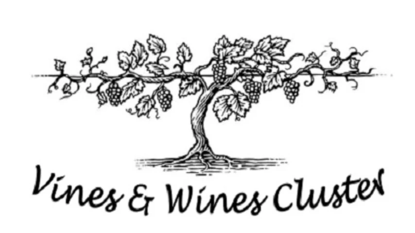 Vines & Wines Cluster 2024